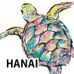 HANAI